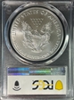 2020-(S) $1 Silver Eagle - Emergency Issue Struck at San Francisco First Strike MS69