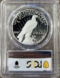 2023-S $1 Peace Dollar First Strike PR70DCAM