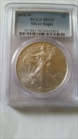 2014-W $1 Burnished Silver Eagle SP70