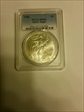 1996 $1 Silver Eagle MS69
