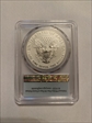 2019-S $1 Silver Eagle Enhanced Rev PR First Strike PR69