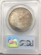 1896 $1 MS65