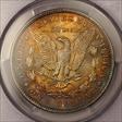 1897 $1 MS64