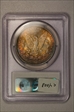 1897 $1 MS64