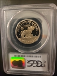 1999-P SBA$1 PR69DCAM
