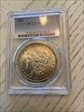 1883 $1 MS61