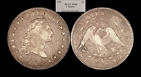 1795 $1 Flowing Hair, 2 Leaves XF40