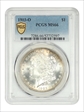 1903-O $1 MS66