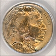 1938-D/D 5C Buffalo MS66