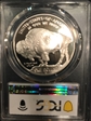 2001-P $1 Buffalo PR70DCAM