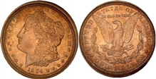 1904 $1 MS64