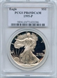 1995-P $1 Silver Eagle PR69DCAM