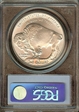 2001-D $1 Buffalo MS70