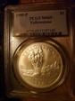 1999-P $1 Yellowstone MS69