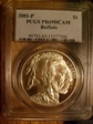 2001-P $1 Buffalo PR69DCAM