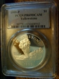 1999-P $1 Yellowstone PR69DCAM