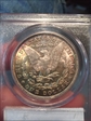 1889 $1 MS65