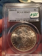 1884-O $1 MS65