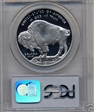 2001-P $1 Buffalo PR69DCAM