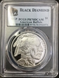 2001-P $1 Buffalo PR70DCAM