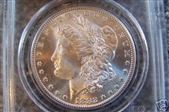 1882-CC $1 MS65