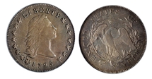 1795 $1 Flowing Hair, 2 Leaves AU50