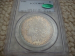 1880 $1 MS65