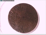 1787 CT 1/2P Draped Bust Left N1BN