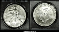 2006-W $1 Burnished Silver Eagle 20th Anniversary SP69