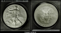 2008-W $1 Burnished Silver Eagle First Strike SP69