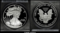 2008-W $1 Silver Eagle First Strike PR69DCAM