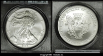 2007-W $1 Burnished Silver Eagle First Strike SP69