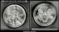 1995 $1 Silver Eagle MS69
