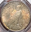 1922 $1 MS63