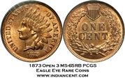 1873 1C Open 3 MS65RB