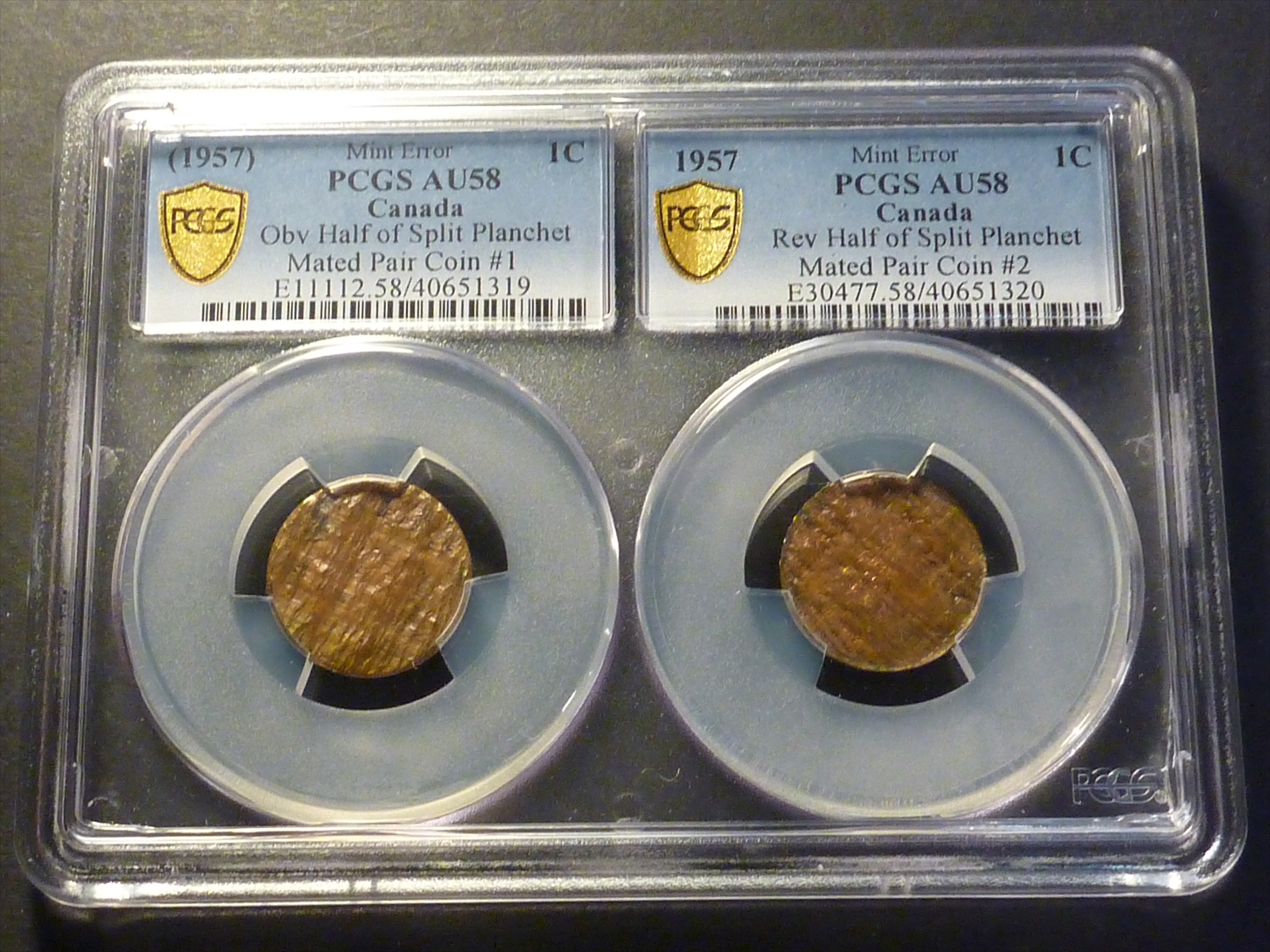 Coin - Canada - 1 cent 1980-1981 PCGS MS 63 RD - Mint error blockage  reverse - Thomas Numismatics