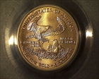 2006 $5 Gold Eagle First Strike MS69