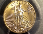 2013 $5 Gold Eagle First Strike MS70