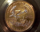 1998 $5 Gold Eagle MS69