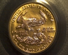 1989 $5 Gold Eagle MS69