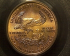 2001 $5 Gold Eagle MS69