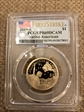 2019-S $1 Native American First Strike PR69DCAM