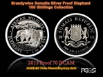 2013 100 S African Elephant 1oz Ag MS70