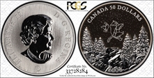 2006 $50 Ursa-Summer SP69