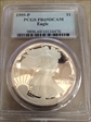 1995-P $1 Silver Eagle PR69DCAM
