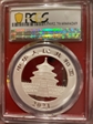 2021 (G) 10 Yn Panda Silver Struck at Shenzhen Mint First Strike MS70