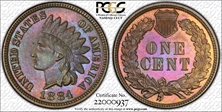1884 1C PR65BN