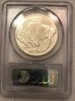 2001-D $1 Buffalo MS69