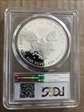 2017-S $1 Silver Eagle Congratulations Set PR70DCAM