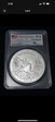 2019-P 25C Frank Church River of No Return NP 5 oz Silver First Strike Mercanti Signature SP70